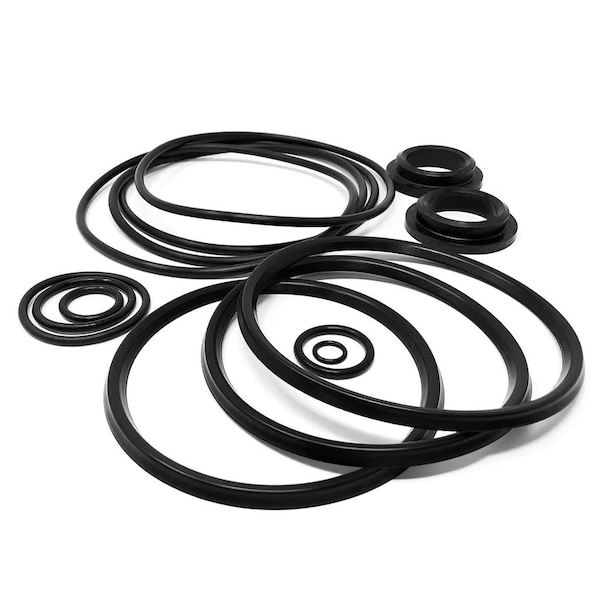 Valve Service Kit, D 100, 4, EPDM, Replaces Tuchenhagen Part# 221-304.09
